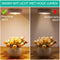 Iqonic Kastverlichting - Draadloze LED Lamp met Bewegingssensor - Warm Wit (3 stuks)