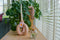 Pyromane Gedraaide kaars - Roze - Set van 4 stuks - 19cm