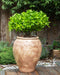 PYRUS - Bloempot - Bruin - ⌀ 48 cm - Terracotta