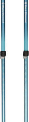 Black Diamond Trail Back Stokken Zilver 100-140 cm