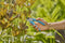 GARDENA EasyCut - Snoeischaar - 20 mm snoeidiameter - Ergonomisch ontwerp