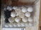 Kerstbal Set met 150 LED 61 pcs Wit Kunststof