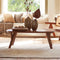 Light & Living - Salontafel QUENZA - 120x65x40cm - Bruin