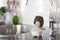 Peleg Design Soap Opera Sponshouder