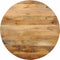 vidaXL - Tafelblad - rond - Ø - 90x3,8 - cm - massief - ruw - mangohout