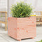 vidaXL - Plantenbak - 50x50x49,5 - cm - massief - douglashout