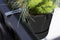 Elho Greenville Easy Balcony 52 - Balkonbak met Ophanging - 100% Gerecycled Plastic - L52 x B21.2 x H19.4 cm - Living black