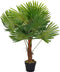 Decoratieve plant DKD Home Decor Palmboom Groen PE (40 x 40 x 90 cm)