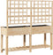 vidaXL - Tuinbak - met - Trellis - en - Plank - 161x43x152 - cm - Massief - Grenenhout