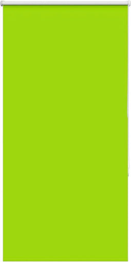 vidaXL - Rolgordijn - verduisterend - 70x150cm - stofbreedte - 65,7 - cm - polyester