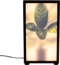 Zuiver Grow Vloerlamp M - Zwart