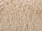 CIDE - Sierkussen set van 2 - Beige - 45 x 45 cm - Polyester