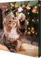Trixie Adventskalender Premio Kat - Kattensnacks