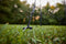 Fairybell LED Buiten Kerstboom voor in de vlaggenmast - 6 meter - 900LEDs - Warm wit