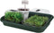 Elho Green Basics Tuintray 60 - Binnen en Buiten - Kweken en Oogsten - Ø 58.5 x H 11.0 cm - Blad groen