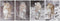 Schilderij DKD Home Decor Luipaard Koloniaal (50 x 1,8 x 70 cm) (4 Stuks)
