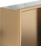 vidaXL - Douchenis - 32x62x9 - cm - roestvrijstaal - geborsteld - goudkleurig