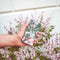 iMoshion Hoesje Geschikt voor Samsung Galaxy A71 Hoesje Siliconen - iMoshion Design hoesje - Groen / Roze / Tropical Jungle