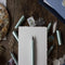 Schneider kalligrafie vulpen – Callissima – mint - lijnbreedte 1,1mm – S-163711