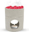 Scentchips® Fossil - Waxbrander - Geurbrander - Oliebrander - Wax Melts Brander - Aromabrander - Ook Geschikt Voor Essentiële Oliën - Geurolie - Waxmelts - Wit