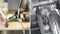Bosch MSM4W210 - Staafmixer - 600W QuattroBlade-systeem - Kunststof