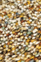Vloerkleed Brink & Campman Pop Art 066907 - maat 140 x 200 cm