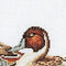 Thea Gouverneur - Borduurpakket met telpatroon - 2064A - Voorgesorteerde DMC Garens - Eenden - Aida - 64 cm x 34 cm - DIY Kit
