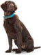 Hondenhalsband Hunter Convenience Turkoois (33-41 cm)