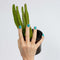 LAUED Nagelstickers - Nail Wraps - 16 Extreem Dunne Nagellak Stickers - Manicure Nail Art Folie - Sticky Cactus