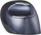 Evoluent VMDMW - Verticale muis - Ergonomisch - Grijs