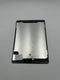 Apple iPad Air 2 - LCD / Scherm met digitizer - Wit