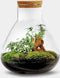 Erlenmeyer L Bonsai