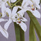 Schilderij DKD Home Decor Spar Kristal 50 x 60 x 2,8 cm 50 x 2,8 x 60 cm Blommor (6 Onderdelen)