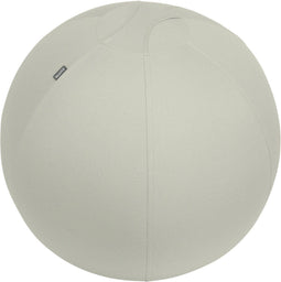 Leitz Ergo Actieve Zitbal - Anti-rol design - 65cm - Lichtgrijs