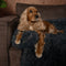 By Cee Cee - Hondenkleed M (90x90 cm) - Fluffy donkergrijs - Multifunctioneel