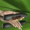 G-spot Vibrator Selopa Selopa Zwart
