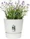 Elho Greenville Rond 40 - Grote Bloempot met Waterreservoir - 100% Gerecycled Plastic - Ø 39 x H 36.8 cm - Wit