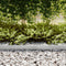 vidaXL - Grasrand - 50 - stuks - 100x0.5x15 - cm - Gegalvaniseerd - Staal