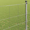 vidaXL - Veldhek - 1,6 - x - 10 - m - Gegalvaniseerd - Staal