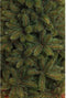 Triumph Tree Forest Frosted Kunstkerstboom Smal - H215 x Ø117 cm - Groen