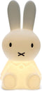 Mr Maria - Nijntje Star Light - 50 cm - LED lamp - dimbaar - Wit