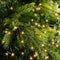 5m LED Compact Kerstverlichting - steady - 220 lampjes - Goud - Dimbaar