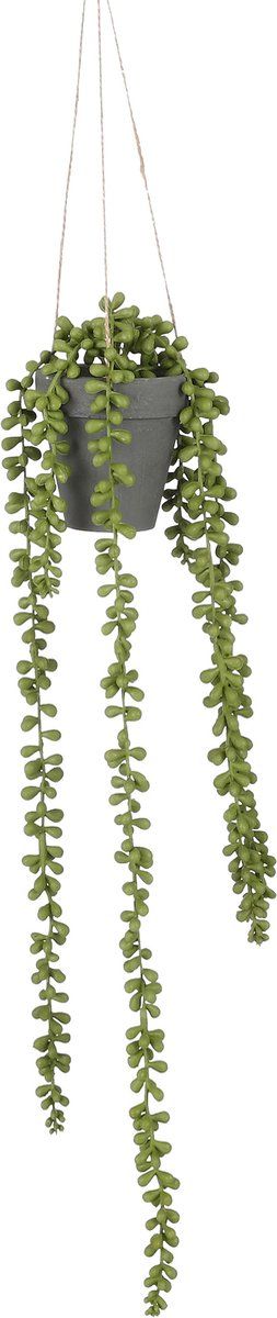 Mica Decorations Senecio Kunst Hangplant in Pot - H56 x Ø9 cm - Lichtgroen