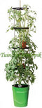 Plantenbak met Waterreservoir