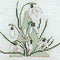 Thea Gouverneur - Borduurpakket met telpatroon - 2025A - Voorgesorteerde DMC Garens - Alfabet Bloemen - Aida - 60 cm x 57 cm - DIY Kit
