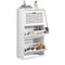 SoBuy FSR108-W - Schoenenopbergkast - 3 Planken & 2 Haken - Wit