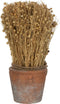 J-line gedroogd vlas in pot - jute - naturel