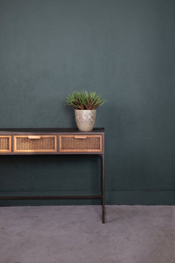 PTMD Succulent Plant Aloe Vera Prikker - 19 x 23 x 26 cm - Rood/Groen