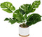 Atmosphera Kunstplant met pot bamboo - H35 cm