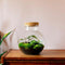 Growing Concepts DIY Duurzaam Ecosysteem Bol - H30xØ18cm